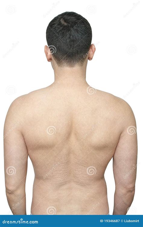 Stretch Scars On Male Back Royalty Free Stock Photography Image 19346687