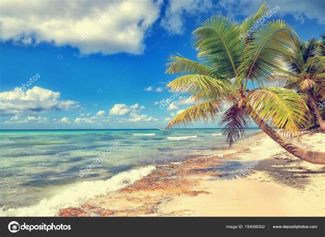 Tropical White Sandy Beach With Palm Trees Saona Island