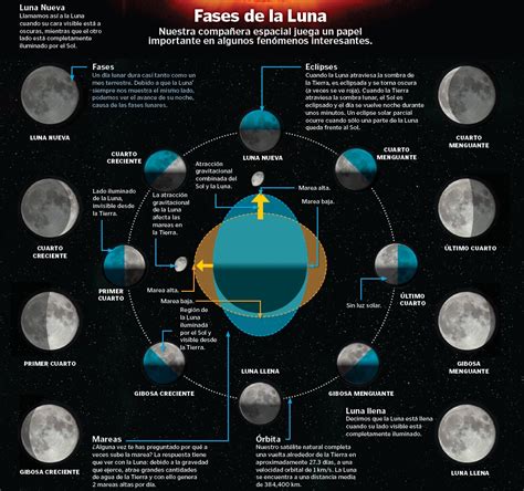 Fases De La Luna ~ Con Ciencia