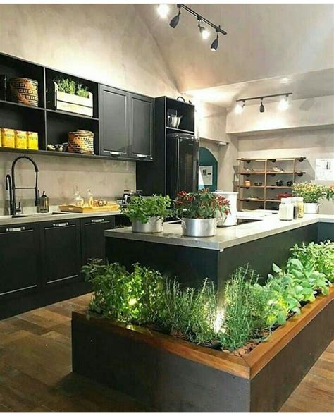 Pin By Immoverkauf24 On Botanical Style Herb Garden In Kitchen