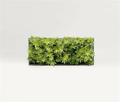 Vertical Gardens Greenery Architonic