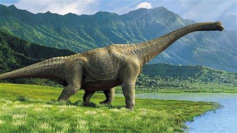 Brontosaurus Características Hábitat Y Alimentación