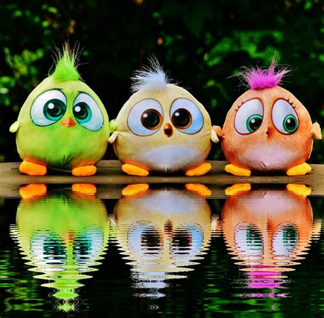 1366x768 Wallpaper 3 Baby Birds From Angry Birds Movie Peakpx