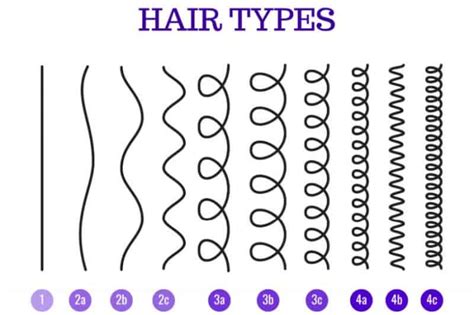2c Vs 3a Hair Difference In Curl Type And Styling Tips