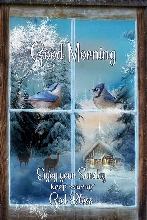Enjoy Your Winter Sunday Good Morning Pictures Photos And Images For