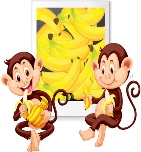 Clip Art Of Monkey Eating Fruit Illustrations Royalty Free Vector