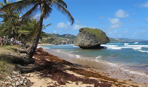 Пляж Батшеба Барбадос Полный гид Декабрь 2023