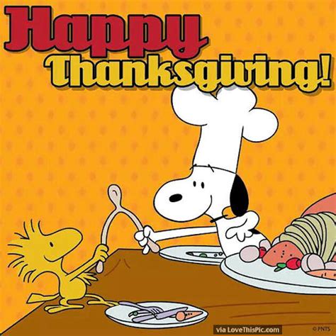 Snoopy And Woodstock Happy Thanksgiving Quote Pictures, Photos, and