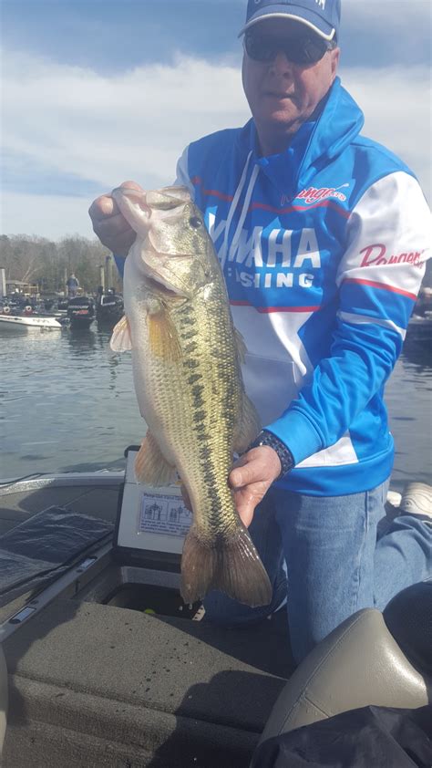 The climate in the area of smith mountain lake offer four distinct seasons filled with traditional color and moderate annual temperatures. April 2019 Smith Mountain Lake Fishing Report by Captain ...