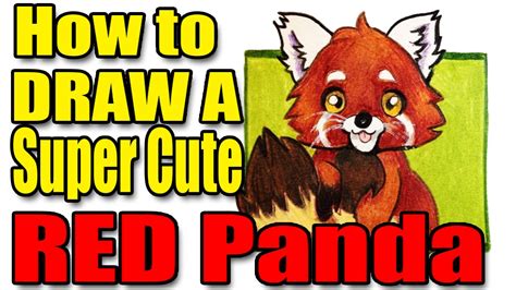 How To Draw A Super Cute Red Panda Youtube