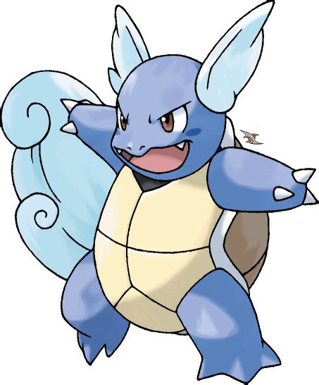 Wartortle Wiki Pokemon