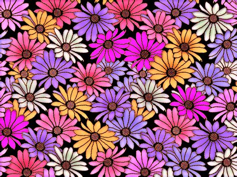 Floral Pattern Background 43 Free Stock Photo Public Domain Pictures