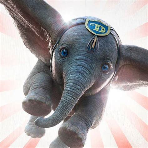Dumbo Disney Photo 42694585 Fanpop