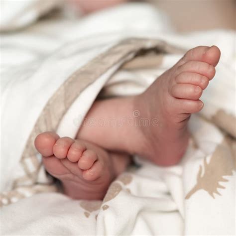 Photo Of Newborn Baby Feet Stock Photo Image Of Childhood 70685696