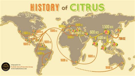History Of Citrus Map