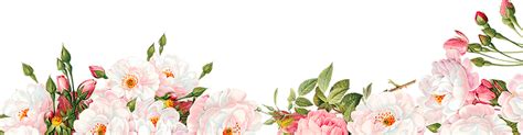 Transparent Watercolor Floral Border Background Png Format Image With
