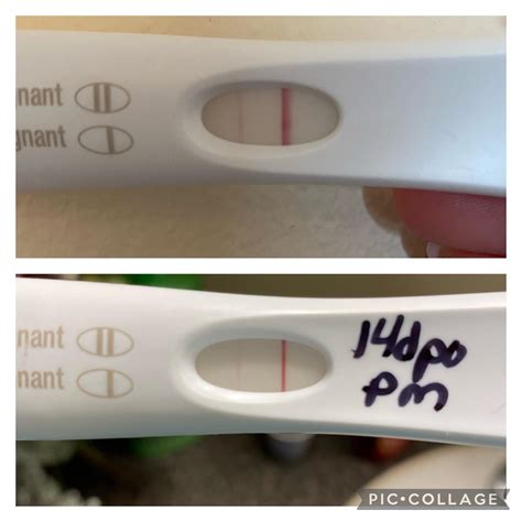 Nervous About Line Progression 1st Frer At 12 Dpo Pm And 2nd At 14 Dpo