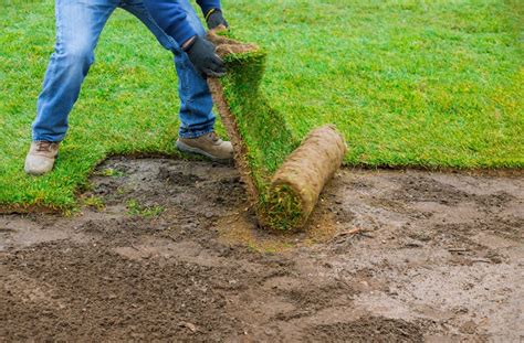 Why Sod Installation Is Important Greenwillow Grains
