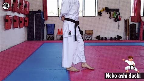 👊 Neko Ashi Dachi Técnicas De Karate Do Youtube