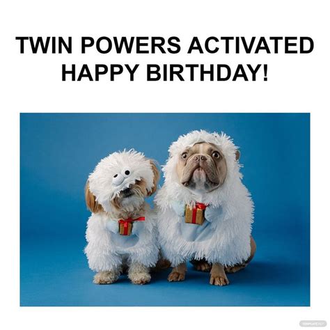 Funny Happy Birthday For Twins