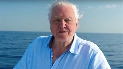 David Attenborough Says The Great Barrier Reef Will Die This Century