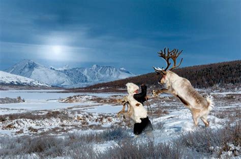 hamid sardar afkhami photographie les derniers éleveurs de rennes untitled magazine