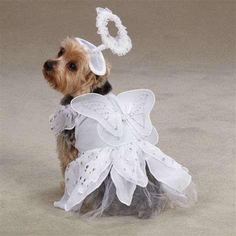 Casual Canine Angel Paws Halloween Dog Costume White With Wings And
