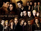 New Moon (1600x1200) - Twilight Series Wallpaper (8686693) - Fanpop