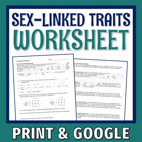 Genetics And Heredity Sex Linked Traits Worksheet Flying Colors Science