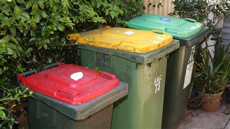 Recycling Waste Bayside Council Considers Fortnightly Household