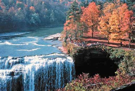 There are 16 cabins available at this columbia county park, that house four to six folks. Letchworth State Park - Step Out Buffalo