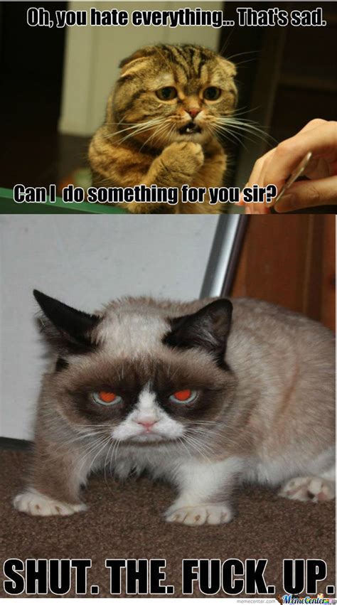 I Love Grumpy Cat Its Meme Cats