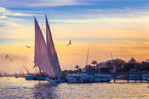 Luxor Private Guided Day Tour By Plane From Sharm El Sheikhspecial Day