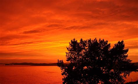 Photography Landscape Trees Nature Coast Sunset Orange Wallpapers