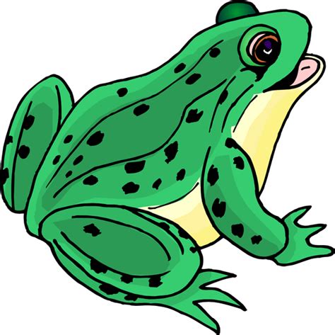 Green Frog Clip Art Clipart Best