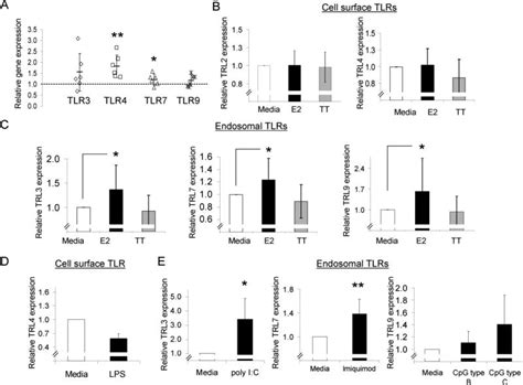 Estrogen Modulation Of Endosome Associated Toll Like Receptor 8 An