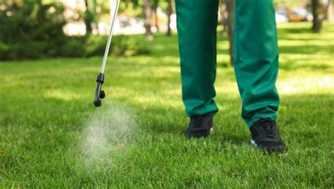 When Should I Fertilize My Lawn Minton Outdoor Services