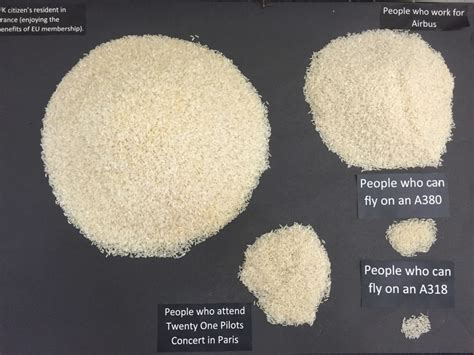 Rice Above The Statistics Using Grains Of Rice For Data