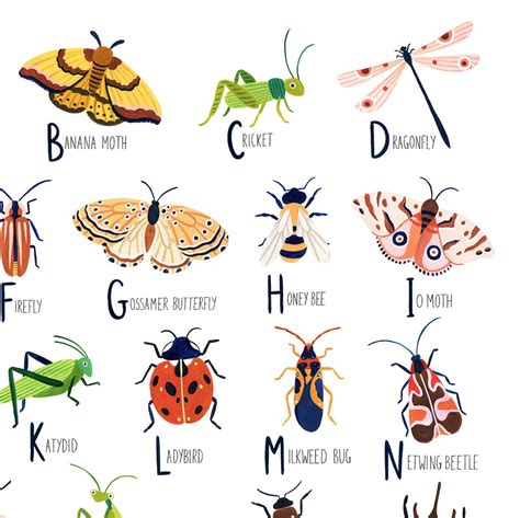 Insect Alphabet Print Nursery Wall Art Bugs Print Etsy