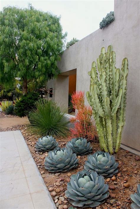 Beautiful Succulent And Cactus Garden 9 Xeriscape Front Yard Rock Garden Landscaping Front