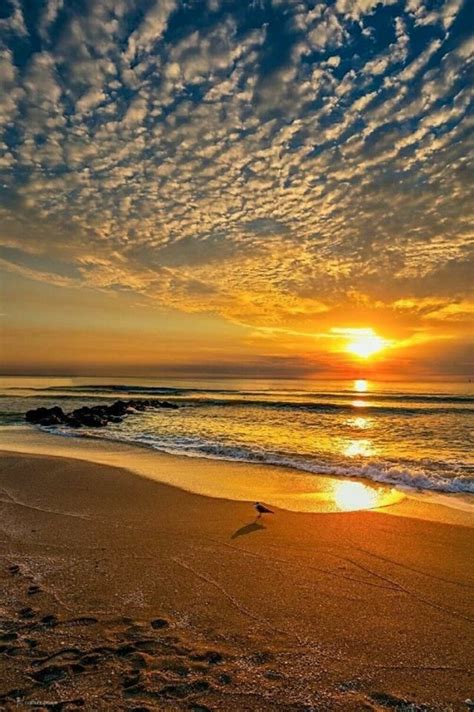 1224 Best Sunsets Over Water Mainly Images On Pinterest Sunrises