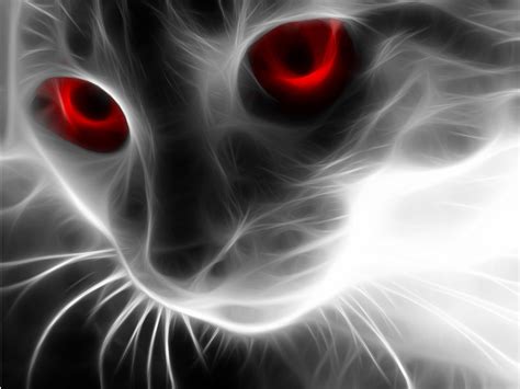 You are downloading neon animal wallpaper latest apk 3.1. Neon Cat Wallpapers High Quality | Download Free
