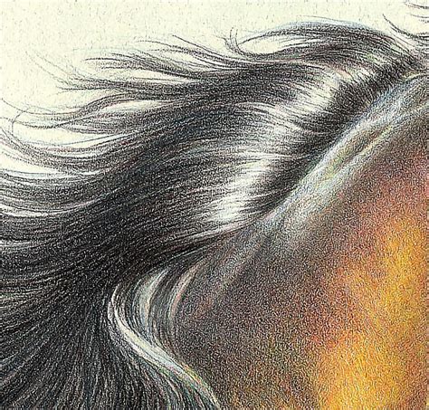 How To Draw Realistic Hair In Colored Pencil Colored