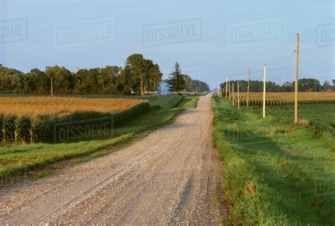 Agriculture Gravel Country Road Passing Through Farm Fields On A