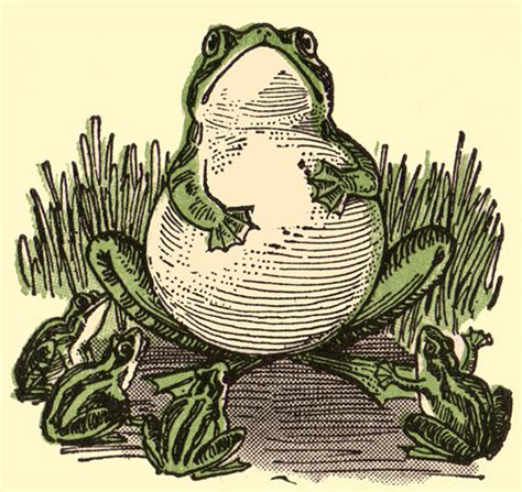 Create beautiful websites, products and applications with your color, for free. Frog Hopper Glen: Vintage Frog Illustrations - Cartoon Style