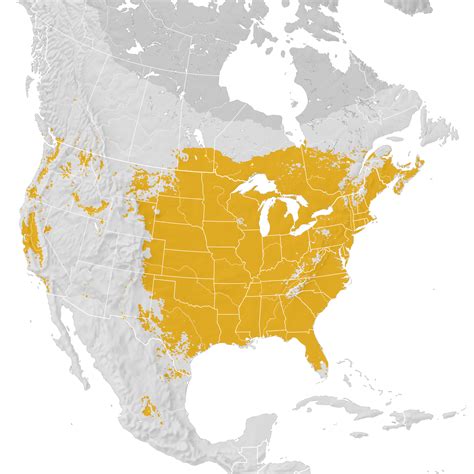 Wood Duck Range Map Post Breeding Migration Ebird