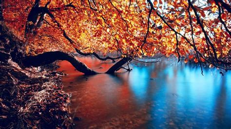 1920x1080 Autumn Bing Images Autumn Wallpaper Hd Autumn Lake