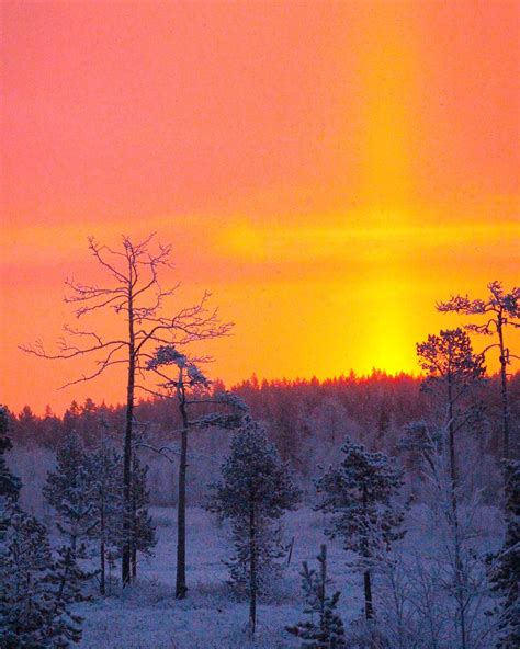 What A Sunrise In Kittilä Finland Lapland Finland Lapland Travel