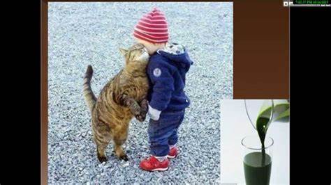 Мастопатия диета отзывы Мастопатия - YouTube Мастопатия - YouTube Мастопатия диета отзывы