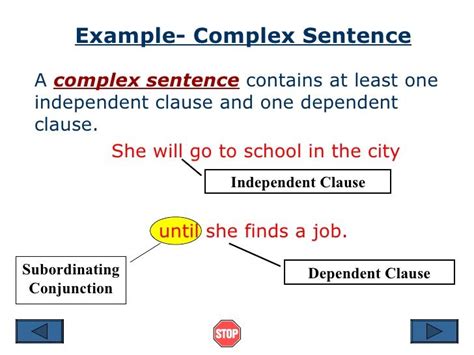 sentence structure examples | Complex sentences, Complex ...